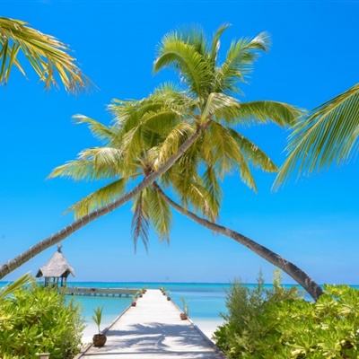 2023澳门管家婆资料正版大全下载手机版