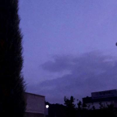 乐鱼APP下载手机版