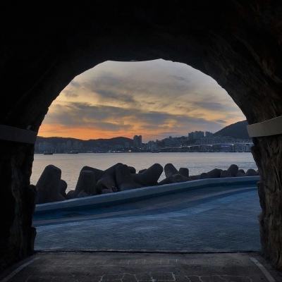 365平台官方版下载app下载