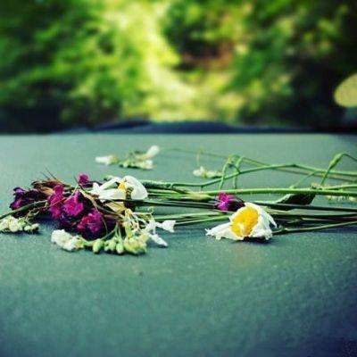 爱体育官方网站手机app下载