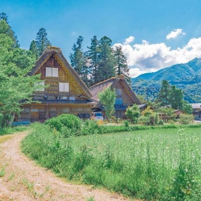 leyu乐鱼手机app下载截图