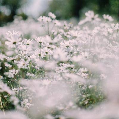 九州官网十年信誉玩家首选截图